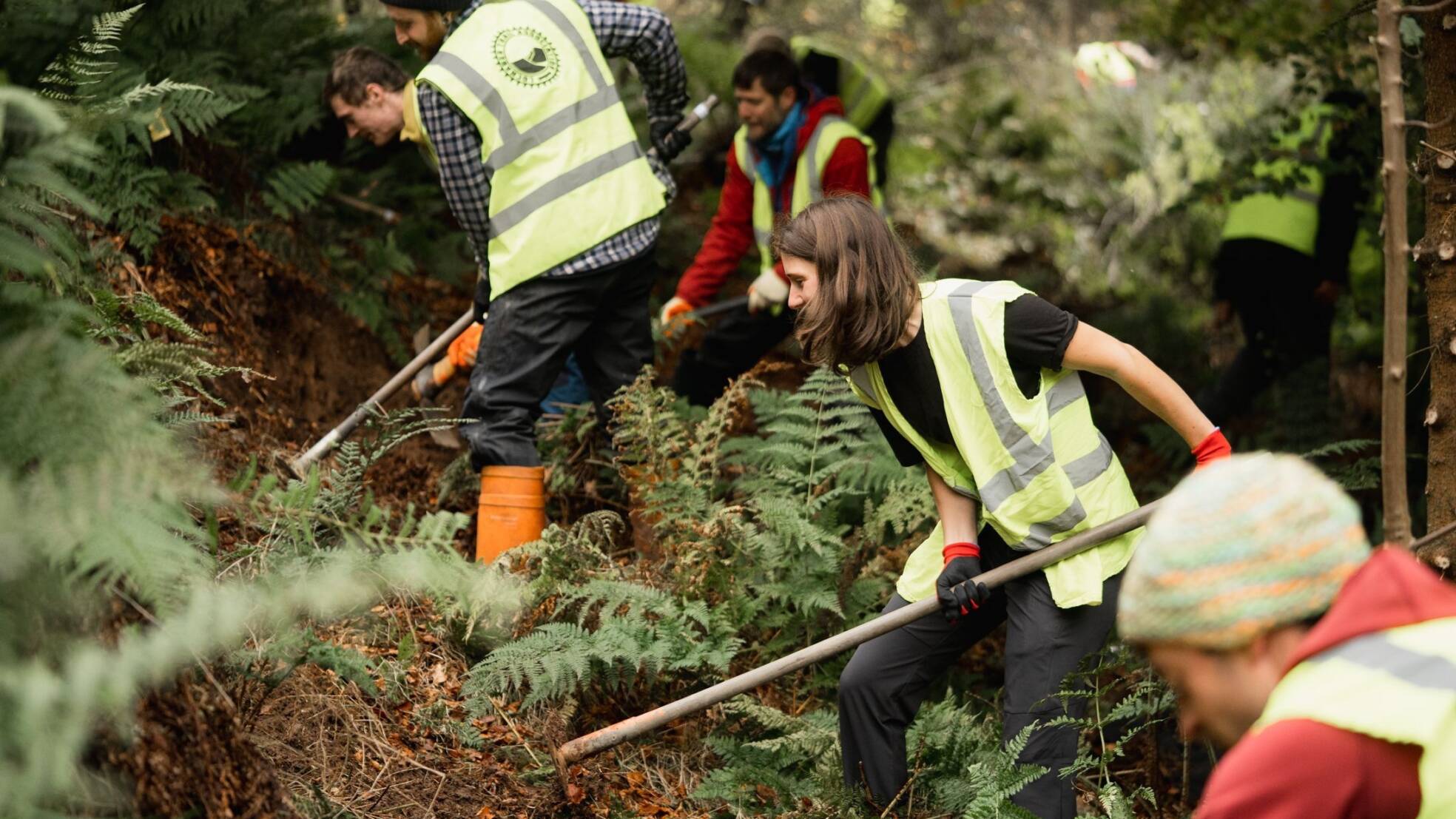 Trails pages 22 27 Credit Finlay Anderson and DM Bin S