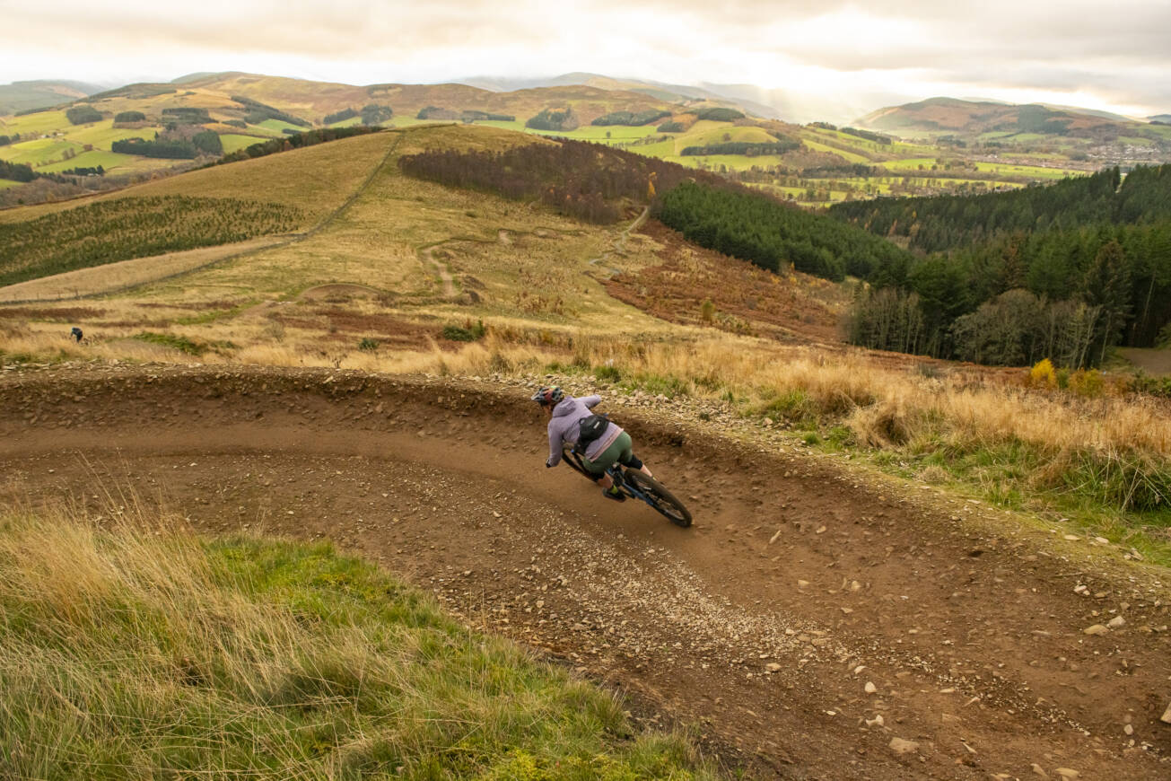 54140684877 395d93a3d3 o