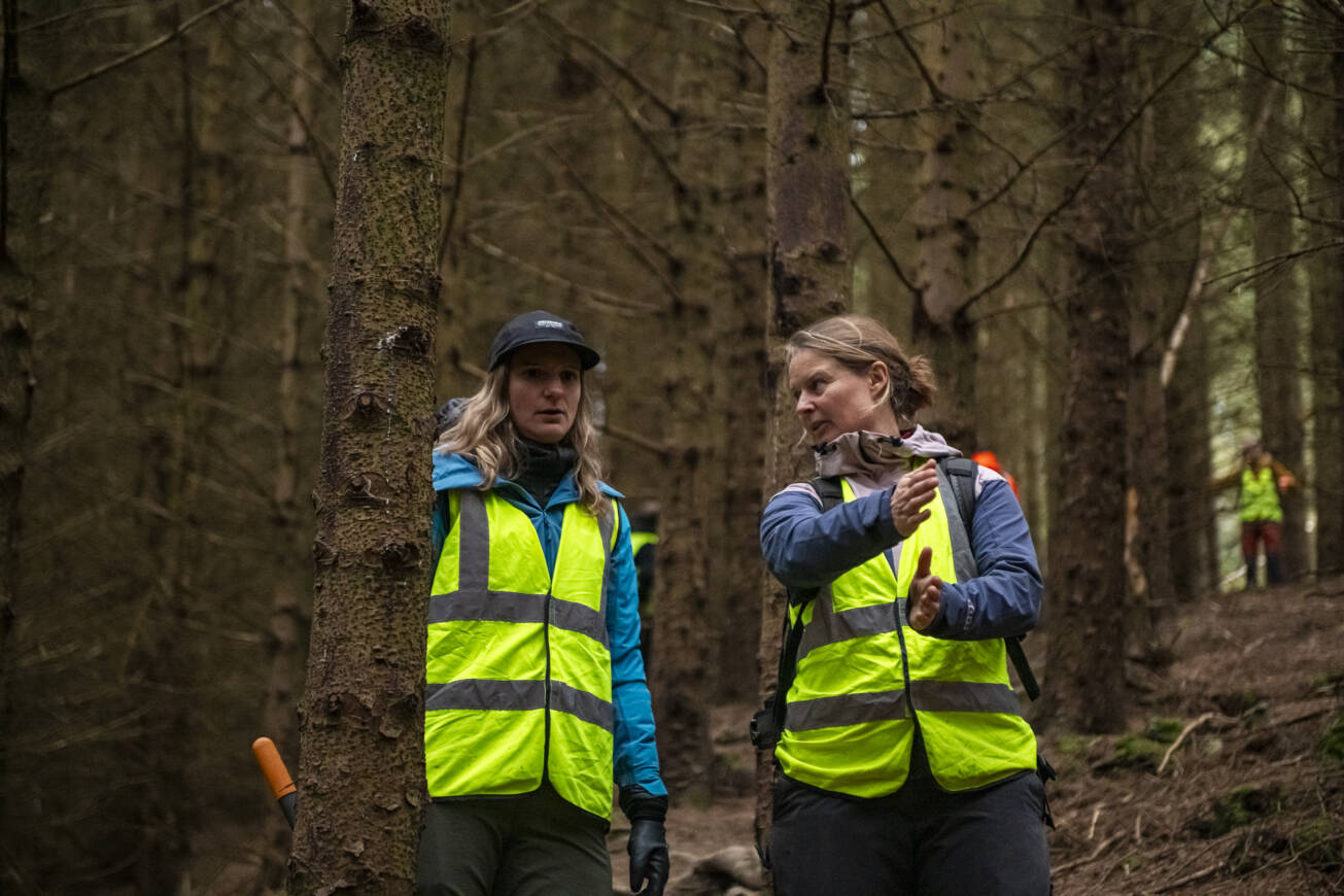 54165836113 1fcaba5ce9 o