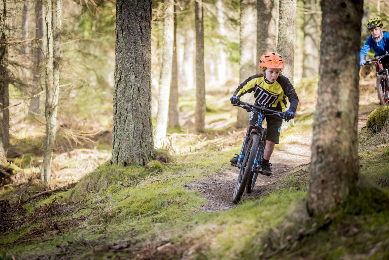 Glentress Credit DM Bin S Frog Bikes