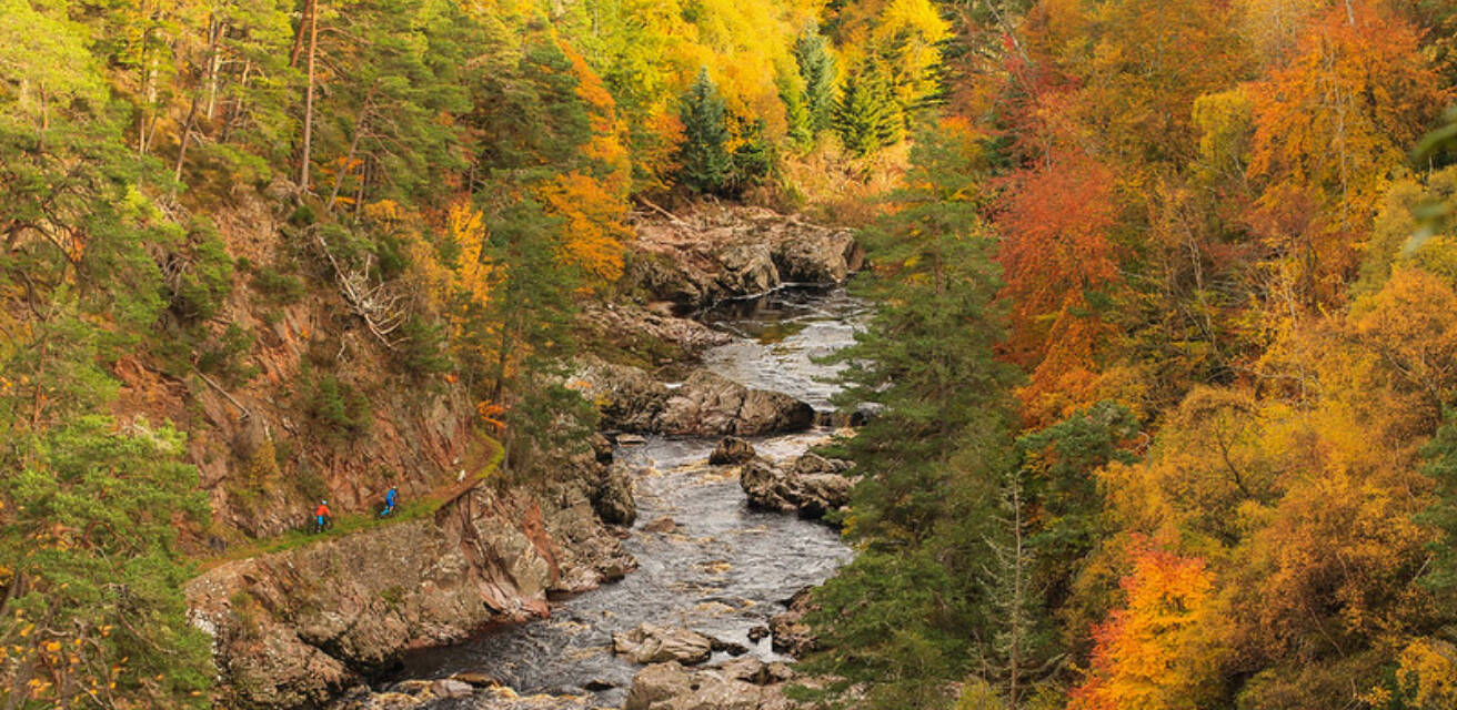 15711253117 7cb6d38092 c