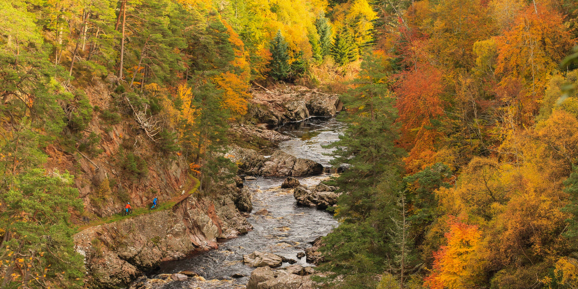 15711253117 2d87a13b63 o 2