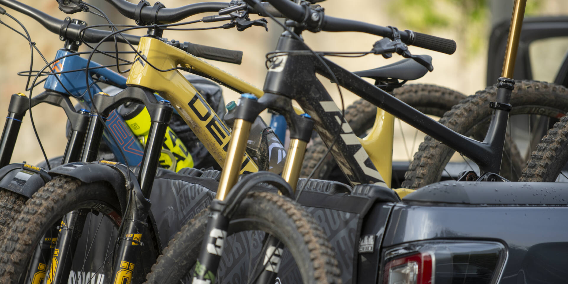 54031929536 0a0bf46e1f o