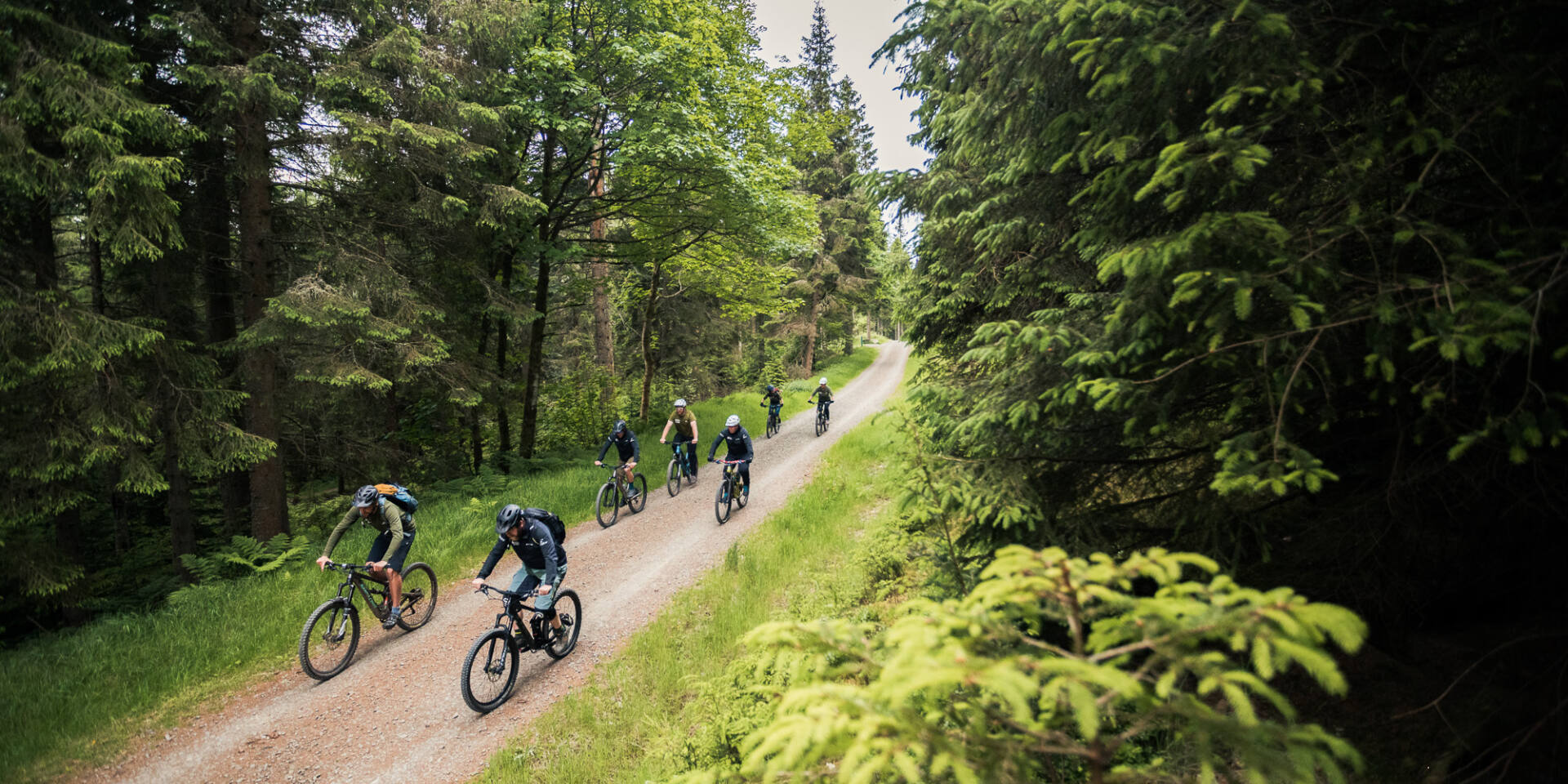 DM Bin S Team Credit Finlay Anderson