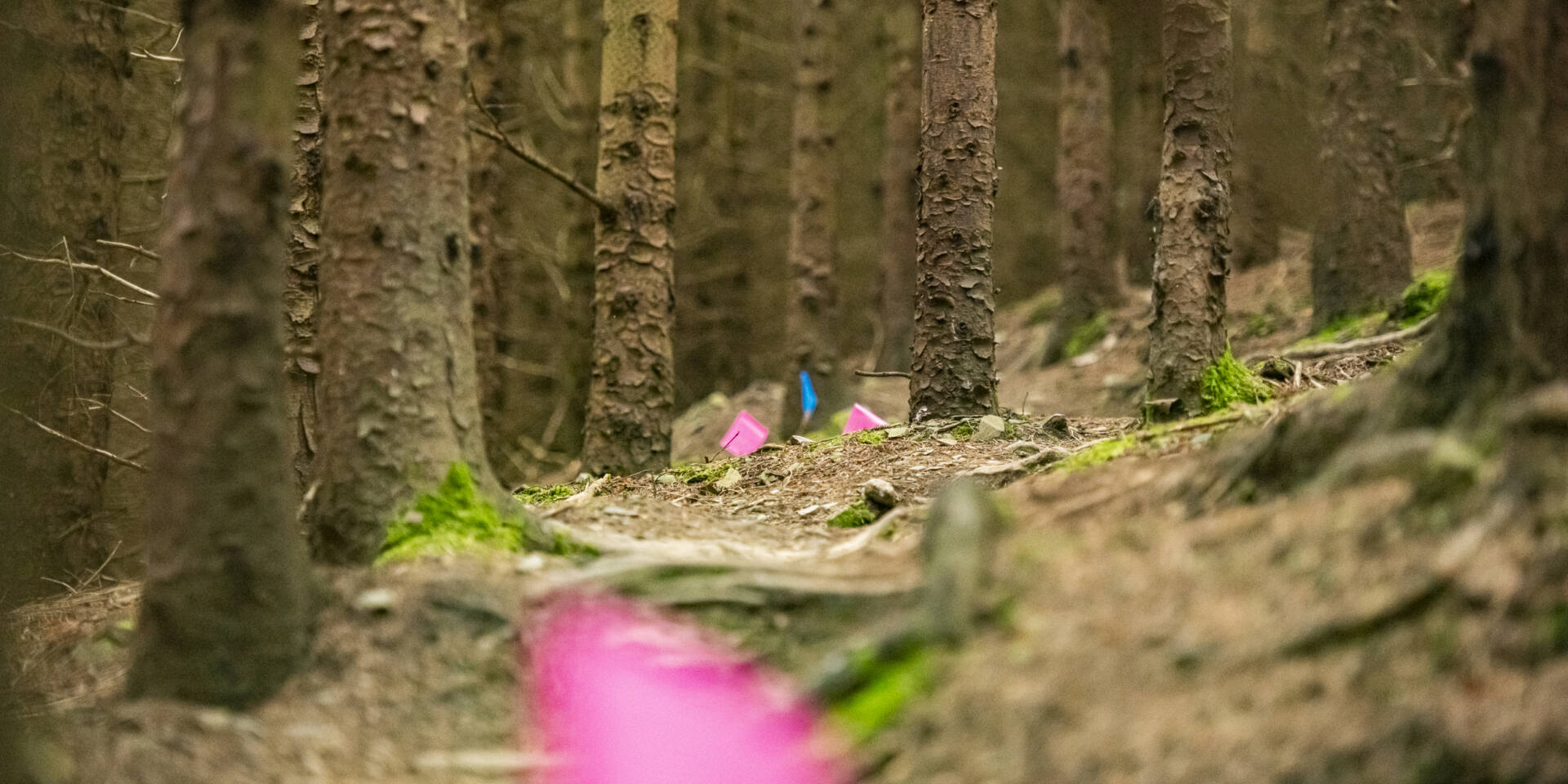 Trail Management Guidance Cover Trails Credit Pete Scullion