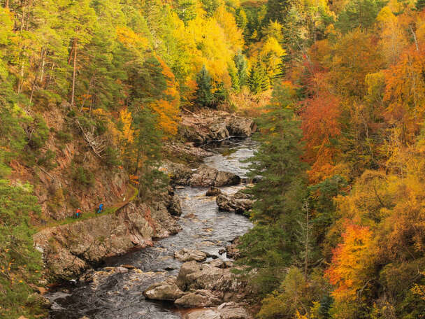 15711253117 7cb6d38092 c