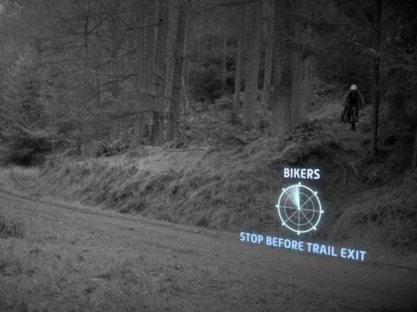 A Shared Forest Video Screenshot