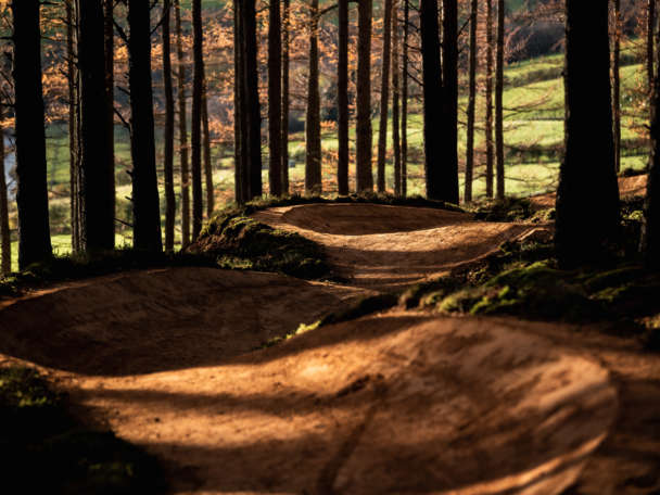 CRC Glenlivet Quick Selects RB 20