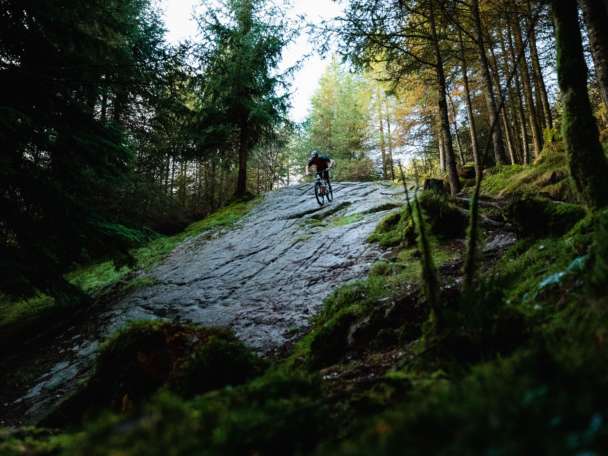 DG Credit Scotty Laughland 2