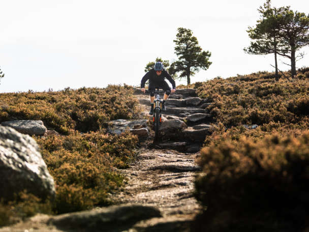 DM Bin S Aberdeenshire HBR Aboyne 14