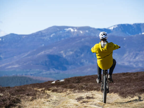 DM Bin S Ebike Guidance