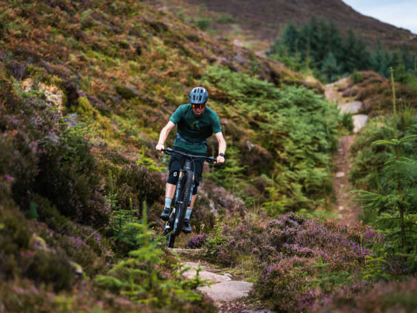 DM Bin S North Highlands 22