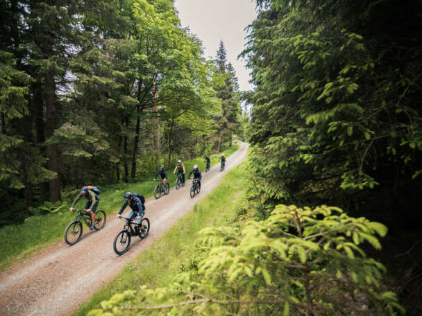 DM Bin S Team Credit Finlay Anderson