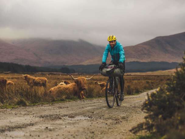 Edward Shoote riding past highland cows in the Scottish Highlands