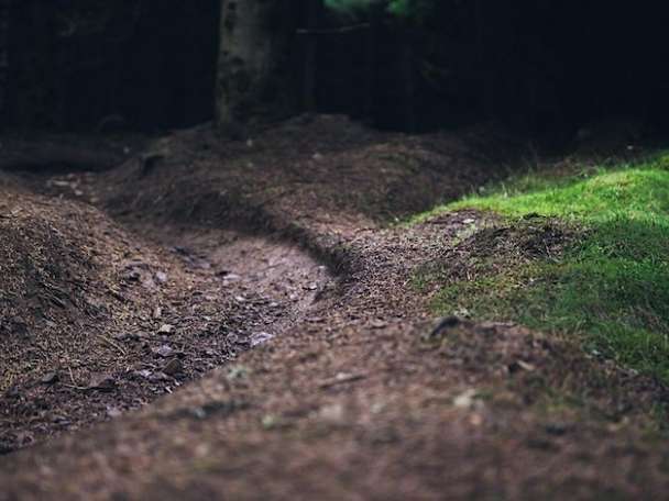 Trail Project