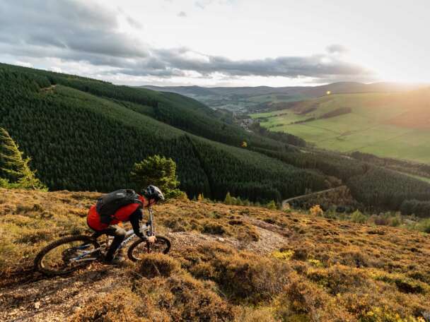 Tweed Valley 1 Credit DM Bin S and Scotty Laughland small