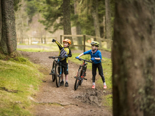 Our strategic projects Credit Frog Bikes