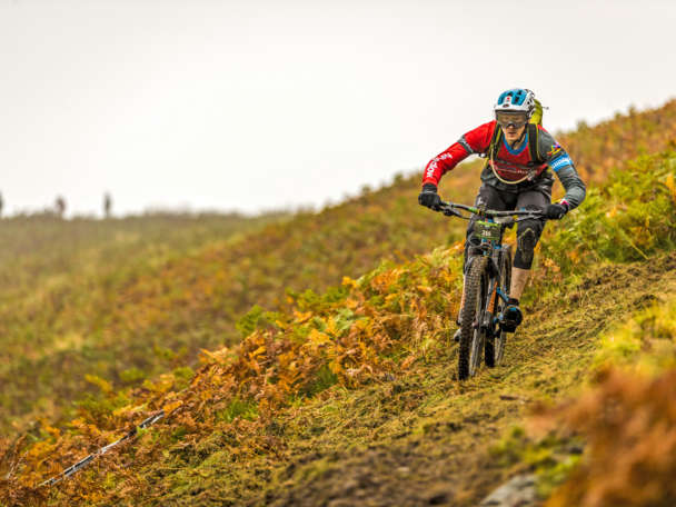 Randr photo 2462200 5472px