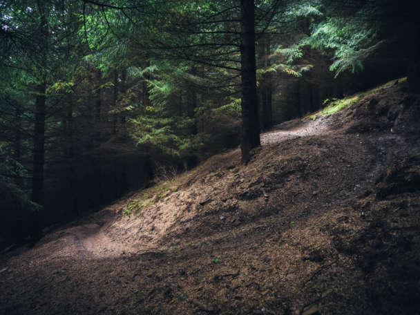 Trail sunspots credit Trev Worsey