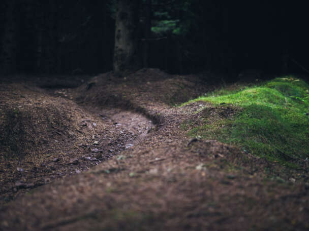 Unauthorised trails MTB guidance Credit Trev Worsey