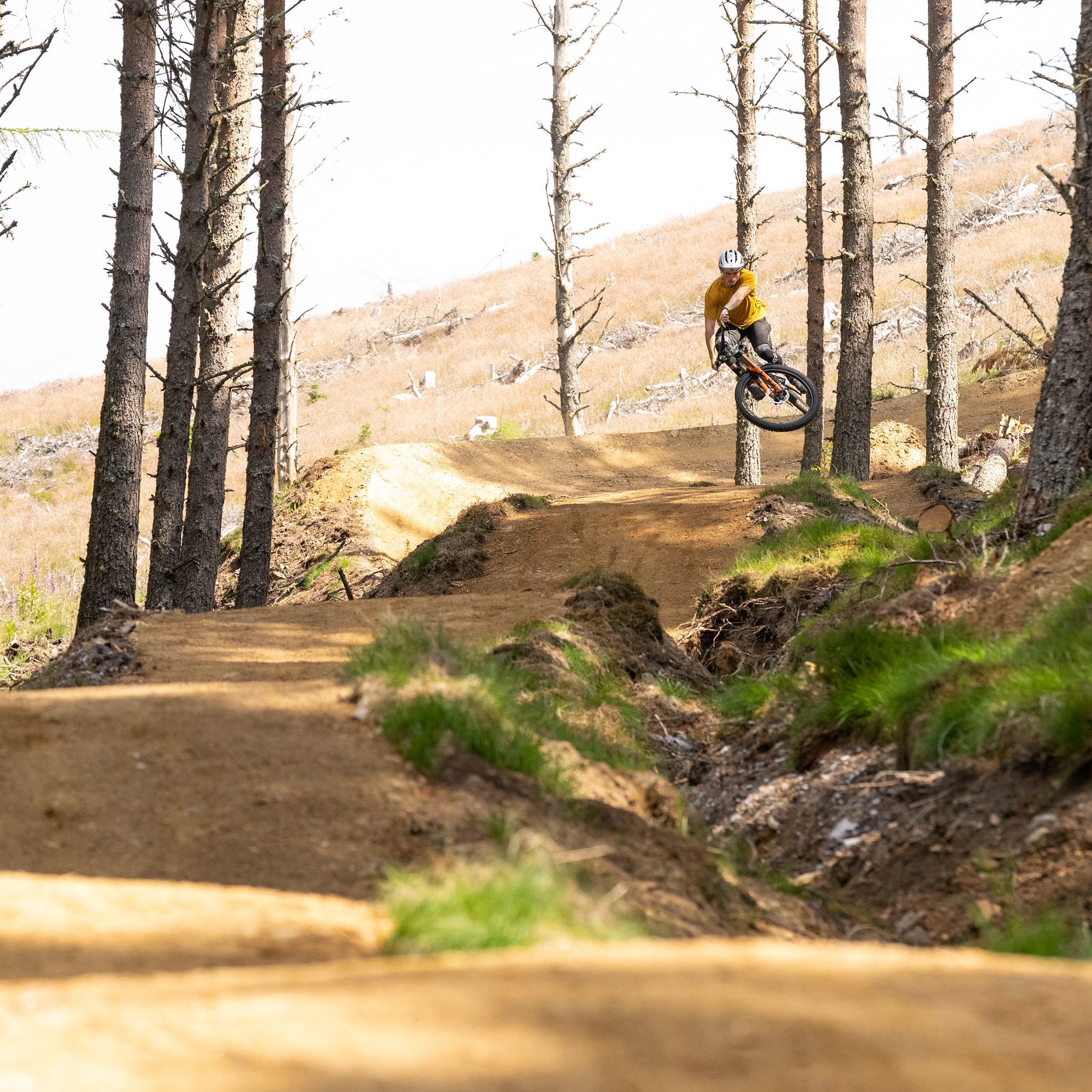 Glenlivet Orange The Back Story DMBinS